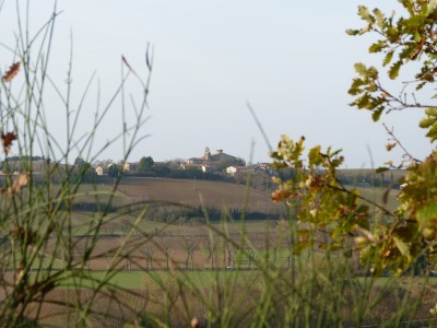 Beauteville (8).jpg